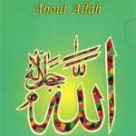 Imran Learns About Allah by: Sajda Nazlee
