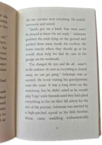 Learning to Deal with Loss - Sulaiman and the Tides of Change by Aliya Vaughan - Image 2