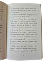 Learning to Deal with Loss - Sulaiman and the Tides of Change by Aliya Vaughan - Image 4