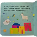 Baby's First Box of Quran Stories (5 Board Books Set) Volume 2 by Saniyasnain Khan - Image 6