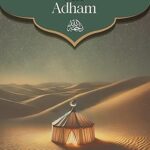 Ibrahim bin Adham by: Muhammed bin Ahmed